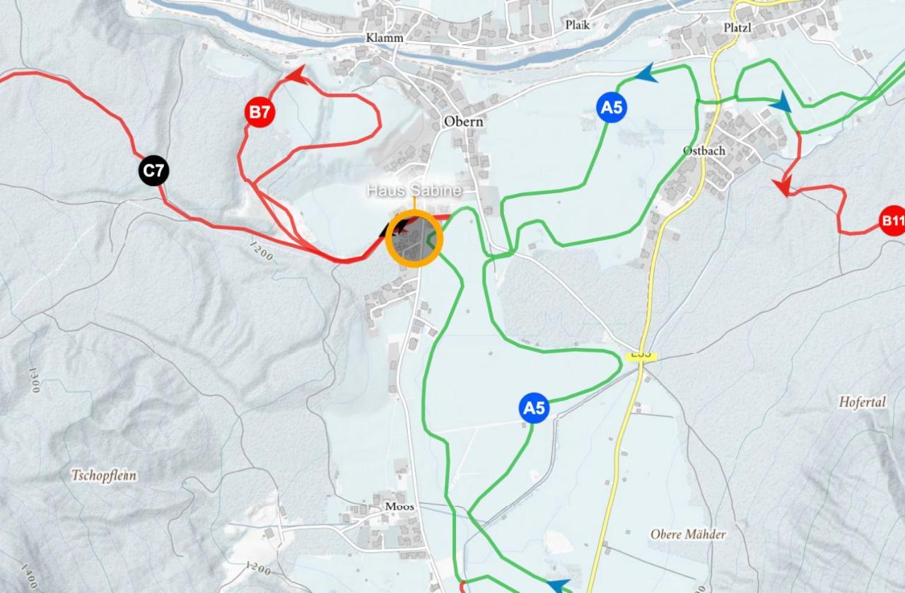 Haus Sabine Apartman Leutasch Kültér fotó